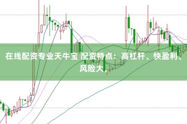 在线配资专业天牛宝 配资特点：高杠杆、快盈利、风险大。