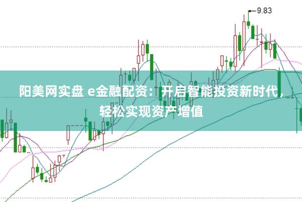 阳美网实盘 e金融配资：开启智能投资新时代，轻松实现资产增值