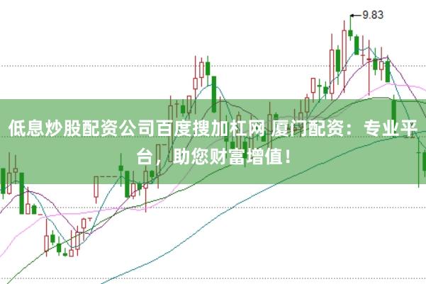 低息炒股配资公司百度搜加杠网 厦门配资：专业平台，助您财富增值！
