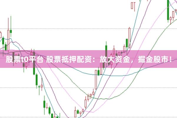 股票t0平台 股票抵押配资：放大资金，掘金股市！