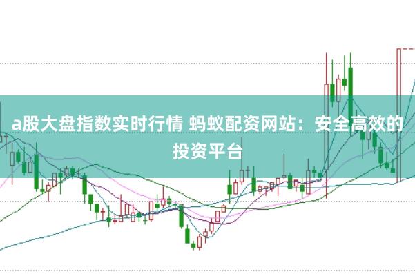 a股大盘指数实时行情 蚂蚁配资网站：安全高效的投资平台