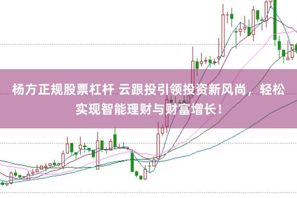 杨方正规股票杠杆 云跟投引领投资新风尚，轻松实现智能理财与财富增长！